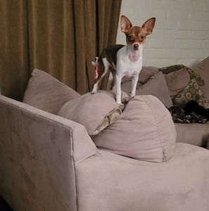 Meet your Posher, Tonya